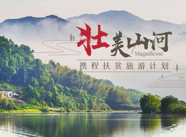 探索脂肪肝喝酸梅水可以吗?问答,找到你想要的答案
